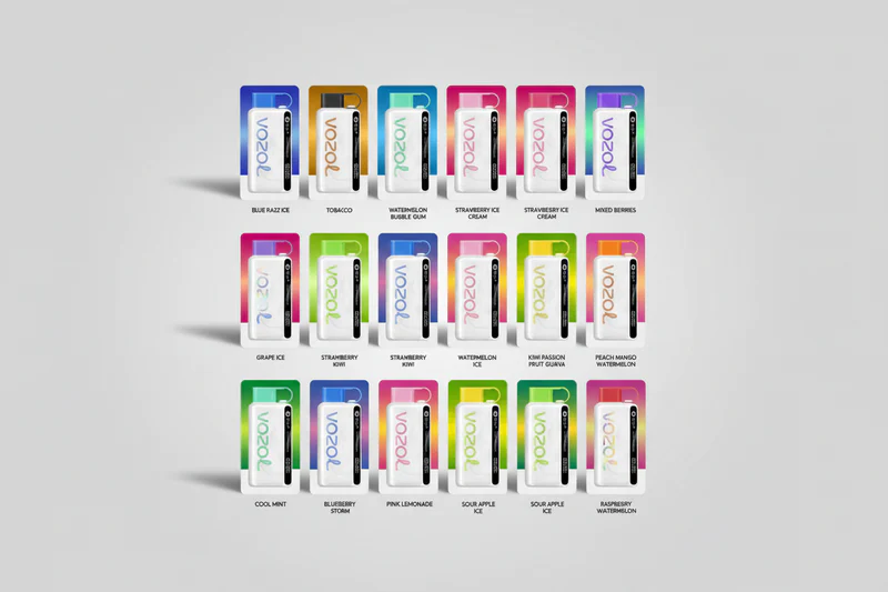 Vozol Star 12000 puffs disposable vape flavor – vape same day delivery Dubai