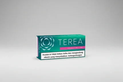 Terea Indonesia Black Green mint 14 puffs vape delivery dubai same day