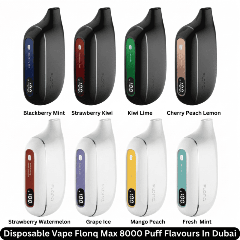 Flonq Max Disposable Vape 8000 Puffs 20mg USB-C Rechargeable Vape UAE